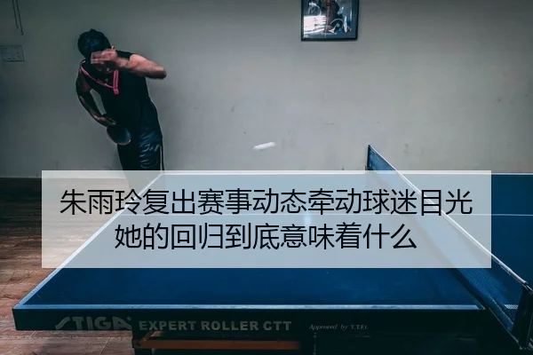 朱雨玲复出赛事动态牵动球迷目光 她的回归到底意味着什么